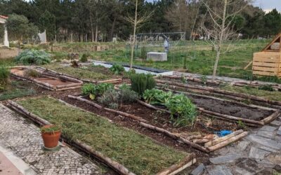 The new veggie garden beds continue to take shape.
