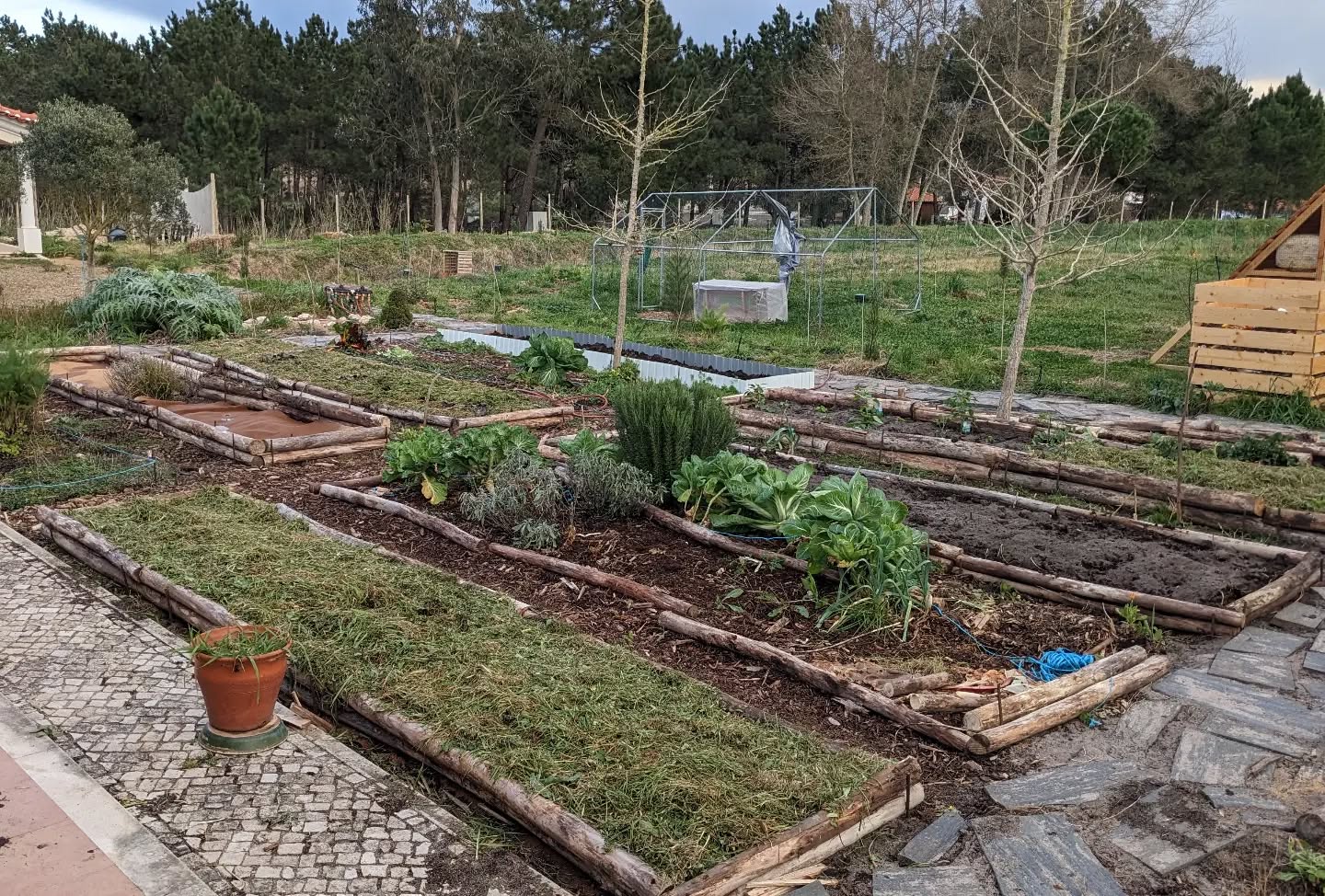 The new veggie garden beds continue to take shape.