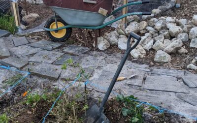 Removing the last remaining ornamental bush from the #zone1 garden beds.