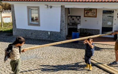 Teamwork to prepare lumber for the duck coops.