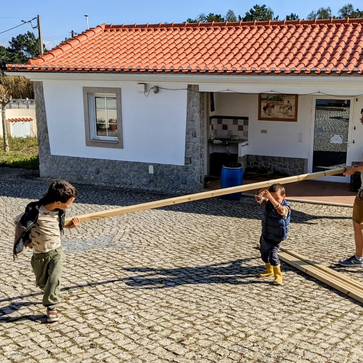 Teamwork to prepare lumber for the duck coops.