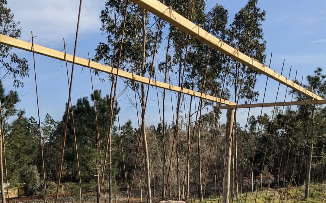 Tying the rebar stakes to the climber frame so that the wind doesn’t blow them away.