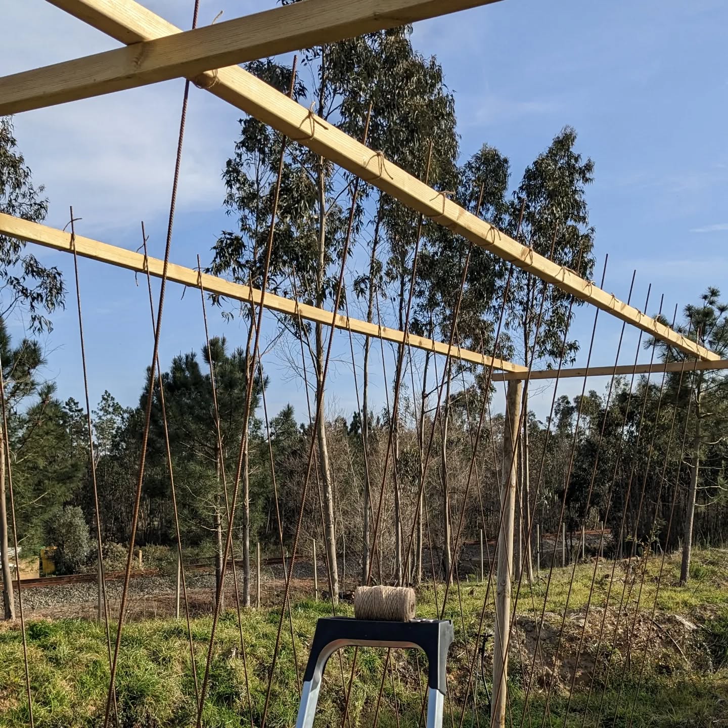 Tying the rebar stakes to the climber frame so that the wind doesn’t blow them away.