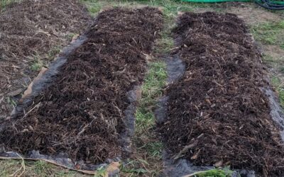 Two more beds ready for climbers.