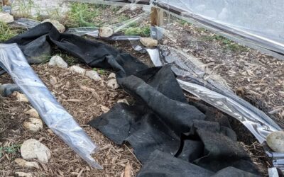 Replaced the bottom of the greenhouse cover with the same plastic that the rest of the cover is made from. Should hopefully hold the heat a bit better…