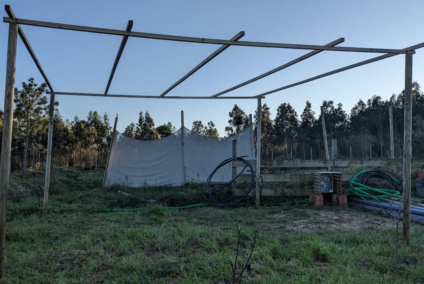 Built a wooden frame to support climbing bean trellises.