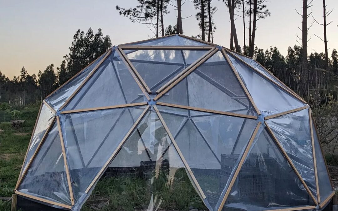 The greenhouse now also has a door. Made from two sheets if plastic and closed with some glued-on magnets, it’s certain to need improvement but should be a working start.