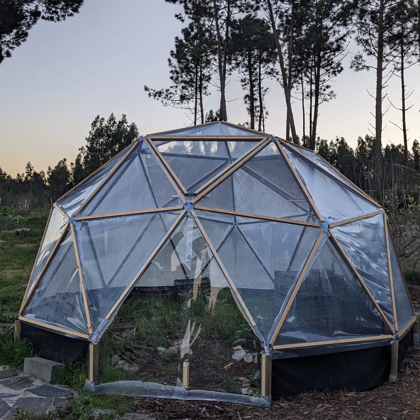 The greenhouse now also has a door. Made from two sheets if plastic and closed with some glued-on magnets, it’s certain to need improvement but should be a working start.
