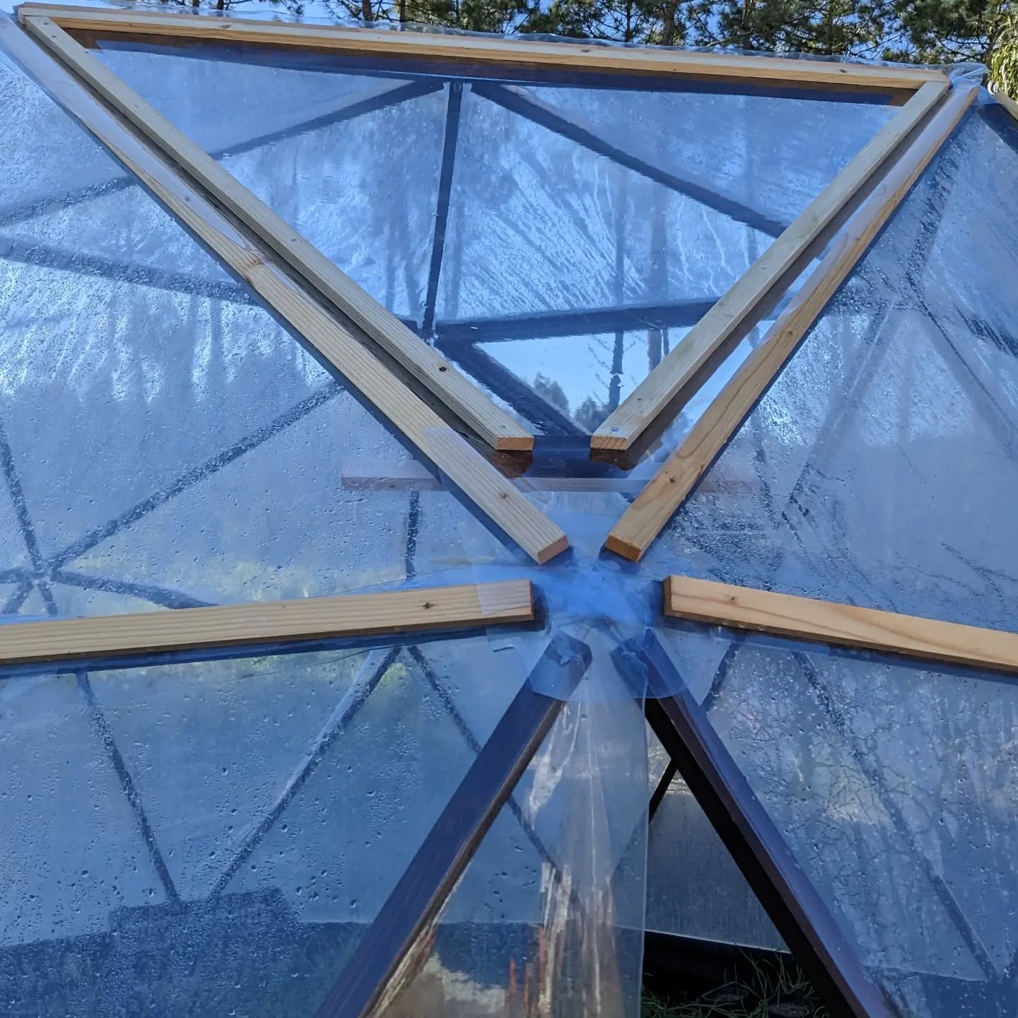The greenhouse windows went in yesterday.