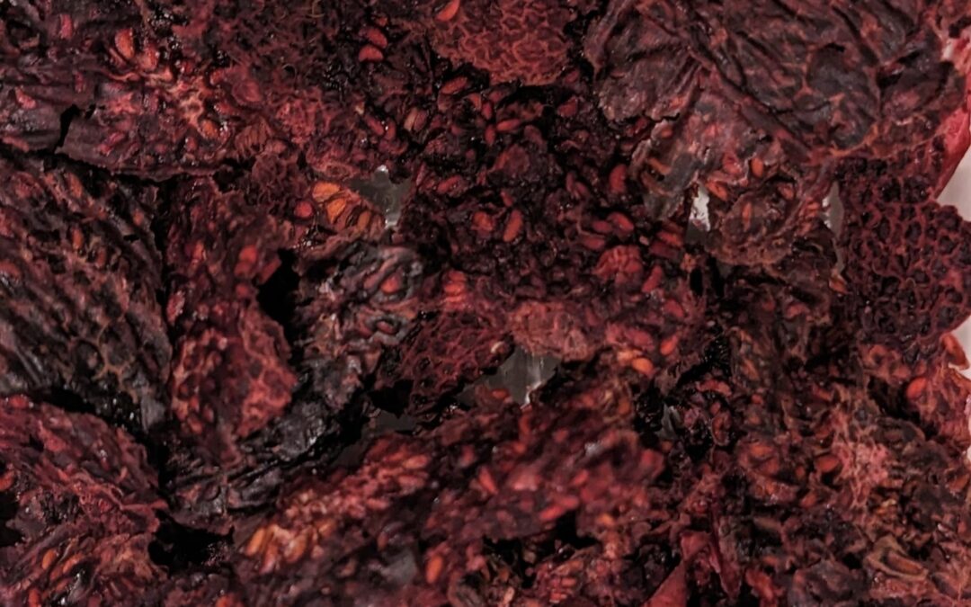 Homemade Raspberry powder