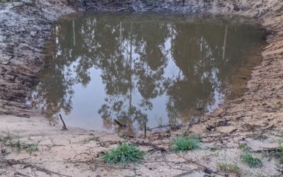 South #pond and east #swale at record high levels after yesterday’s rain.