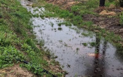Scenes from the 54mm of rainfall we got today.