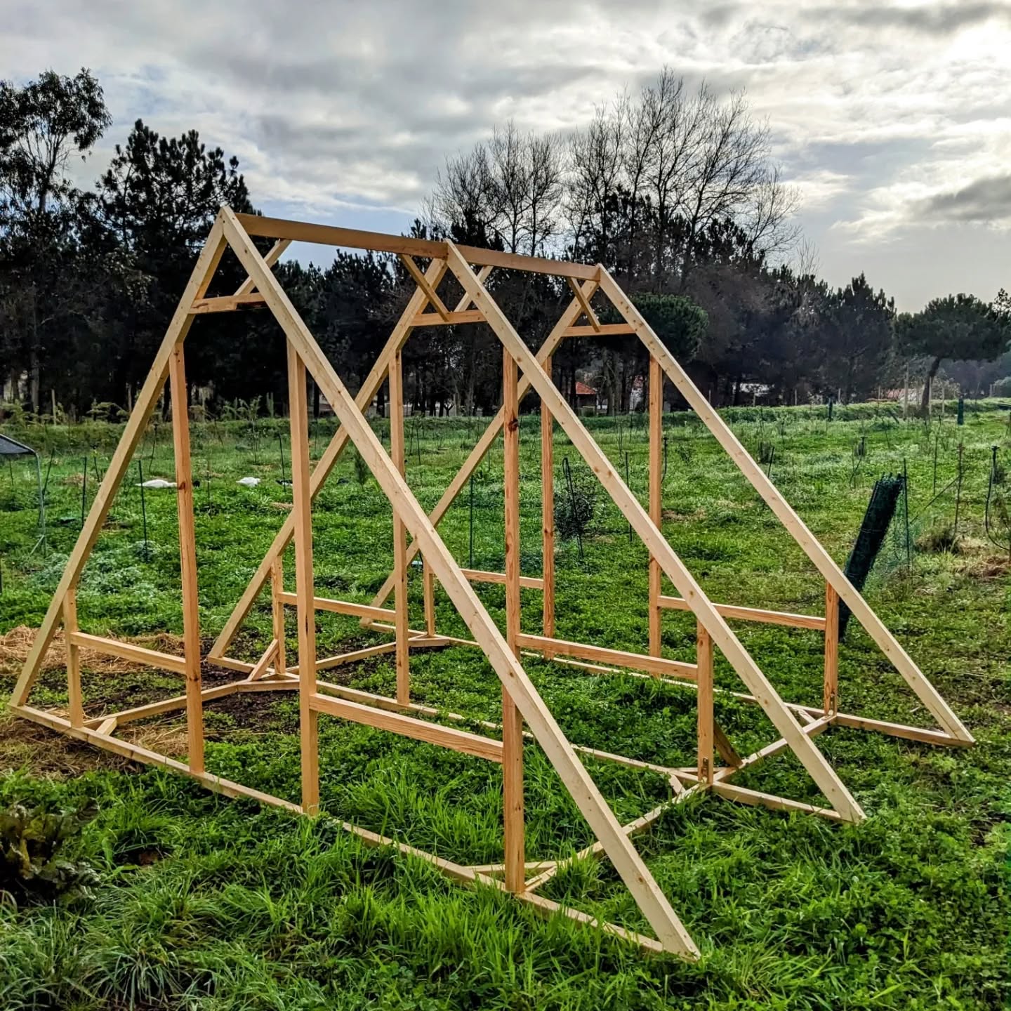 New #duckcoop in position and covered.