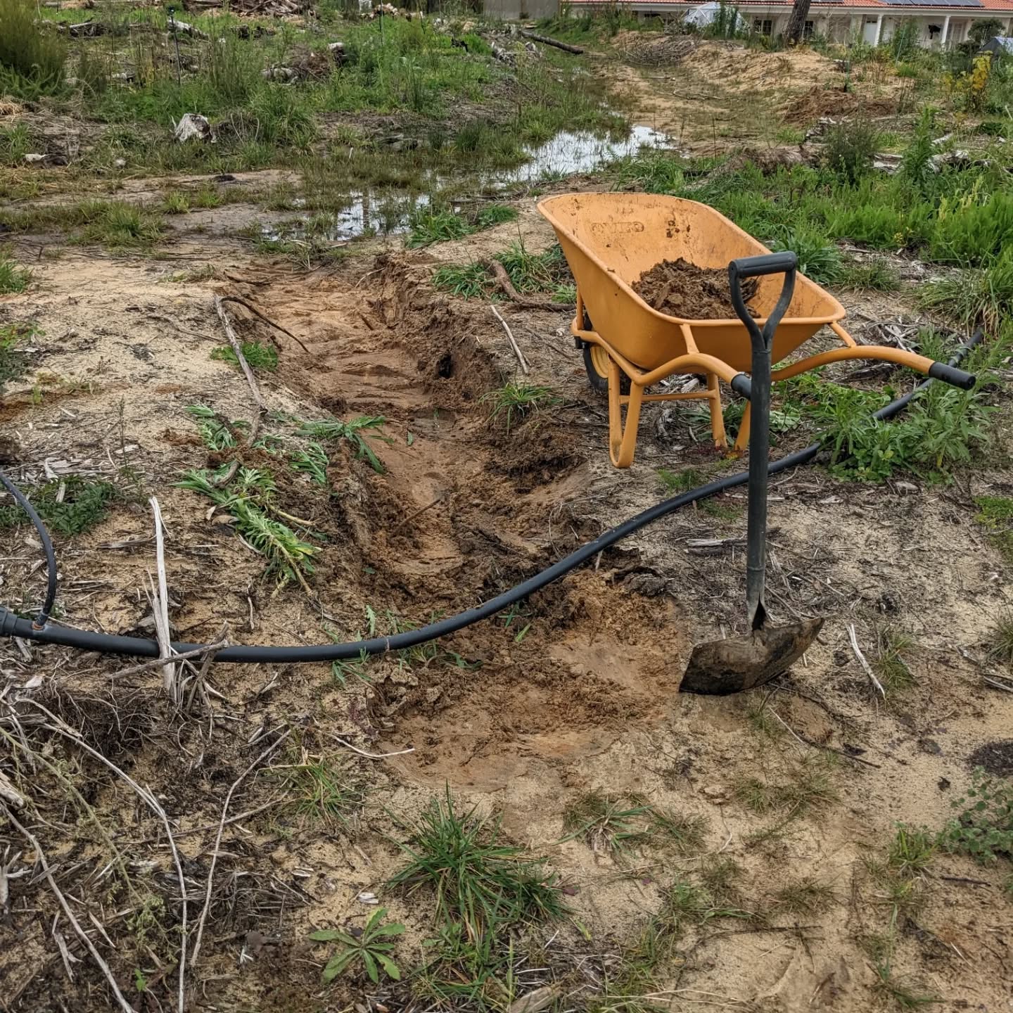 With all the rain, we get to see and refine the water handling systems.