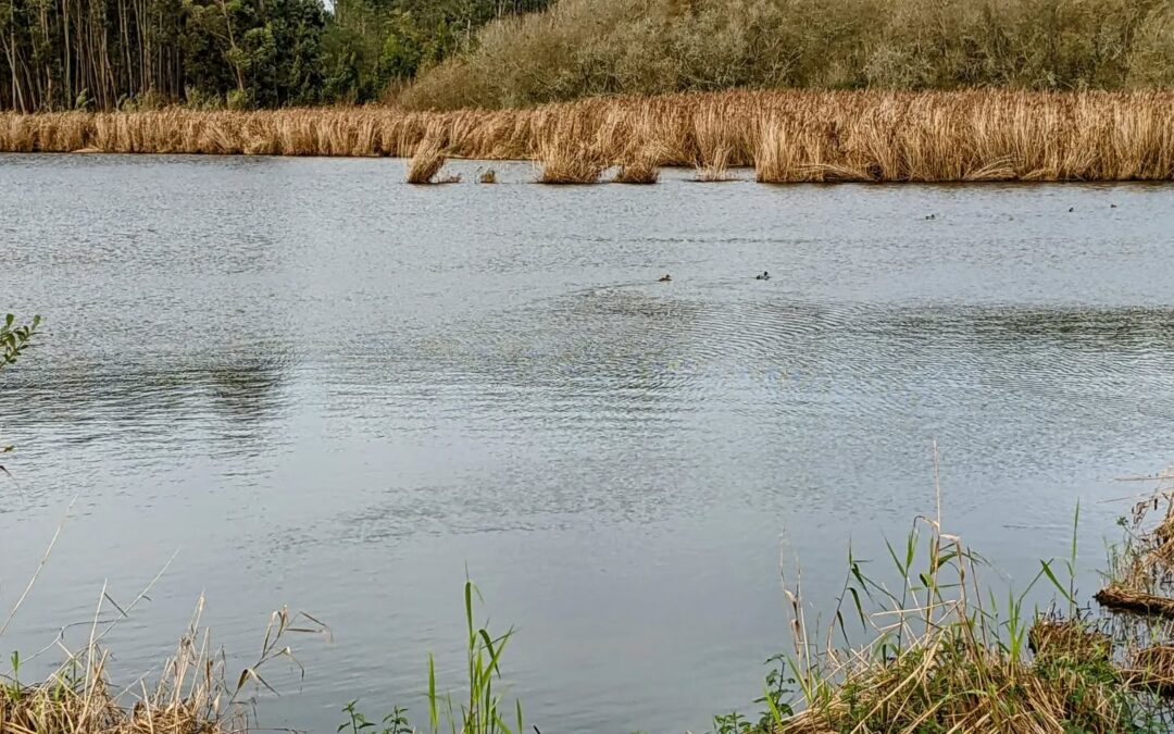 A place to (re)visit: Paul de Tornada’s Nature Reserve.