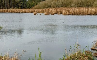 A place to (re)visit: Paul de Tornada’s Nature Reserve.