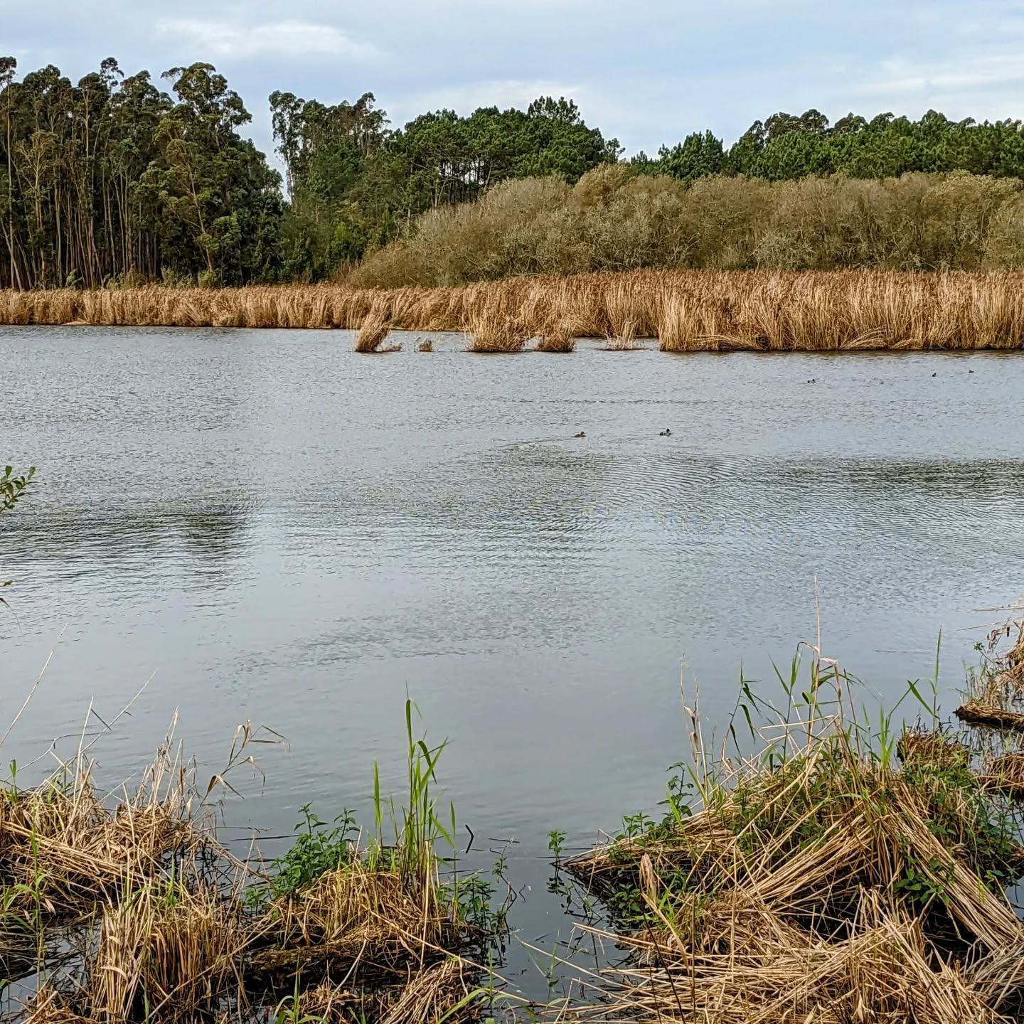 A place to (re)visit: Paul de Tornada’s Nature Reserve.