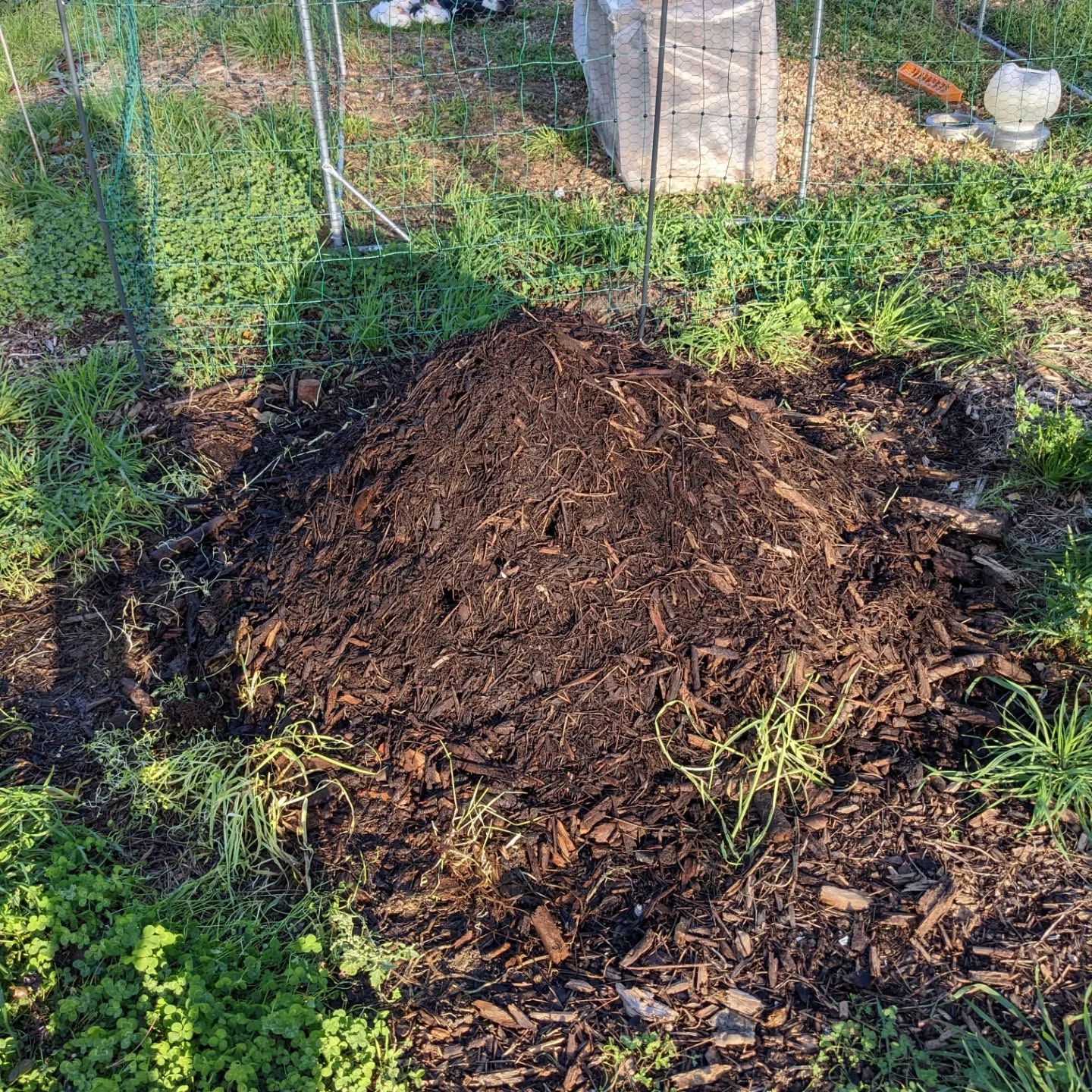 Soil care for the guest garden in #zone1: compost, rabbit manure, and mulch.