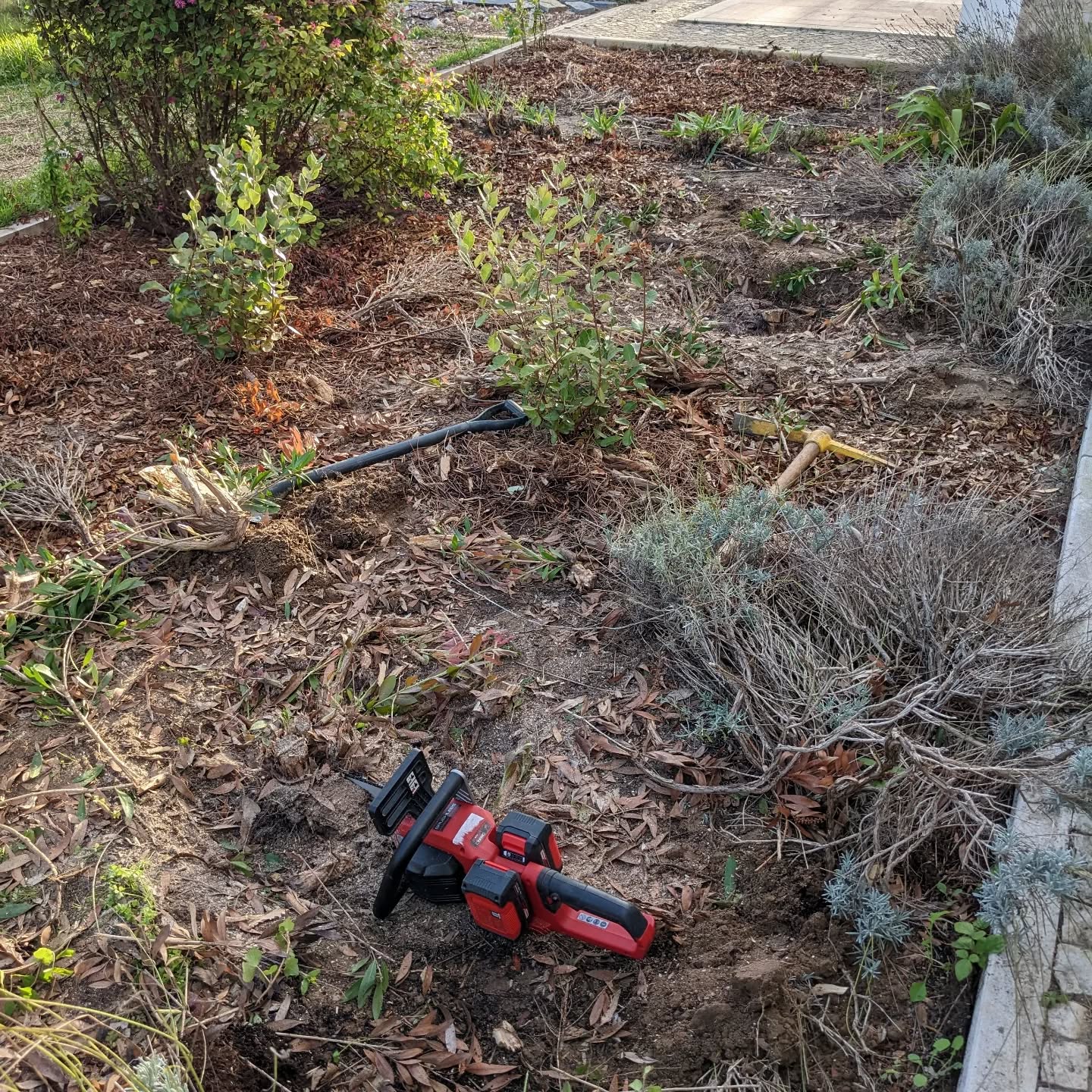 Cleaning up tree stumps in #zone1
