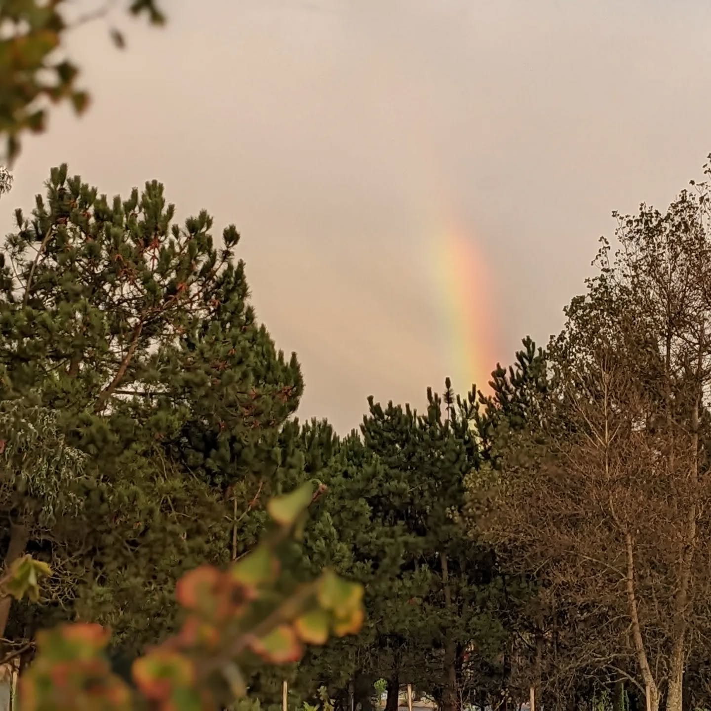 #rainbow