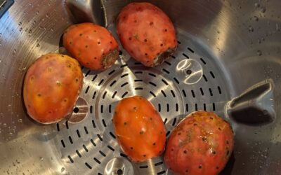 Prickly pear #harvest. Tastier than expected!