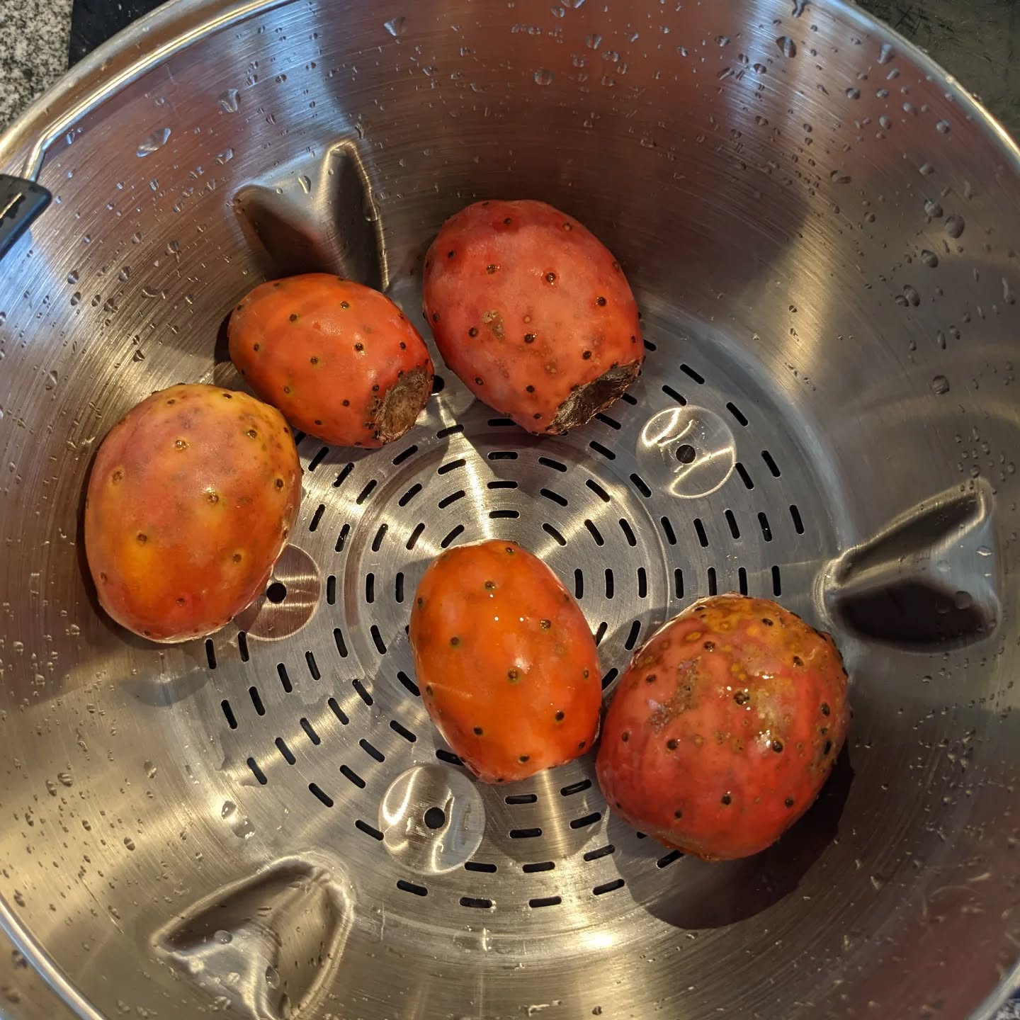 Prickly pear #harvest. Tastier than expected!