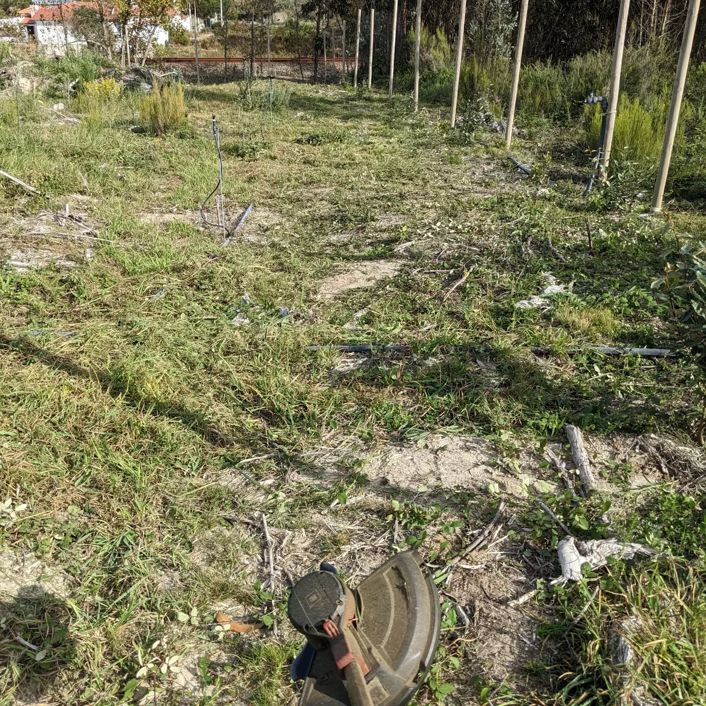 #zone3 cleanup continues. It’s possible to walk along the south fence again!
