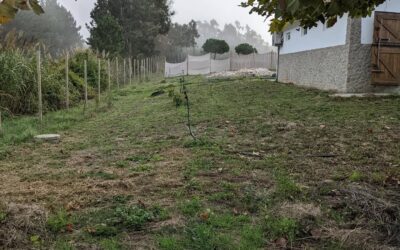 #mowing in #zone3