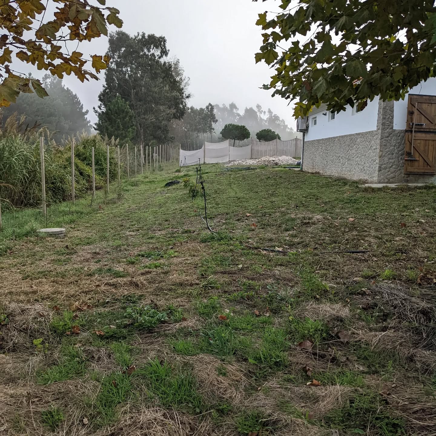 #mowing in #zone3