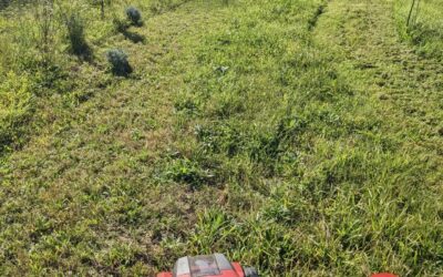 #mowing in #zone2