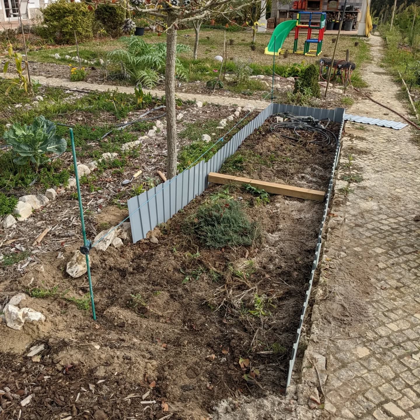 Redoing a veggie bed in #zone1 : narrower (so it’s easier to reach and fits 1m wide cardboard rolls exactly) and with raised edges (so it holds lasagna style toppings for #nodig)