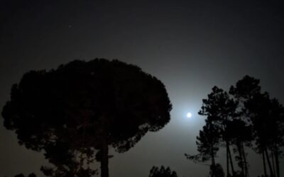 Good night #moonscape
