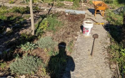 Cleaning up veggie garden beds in #zone1