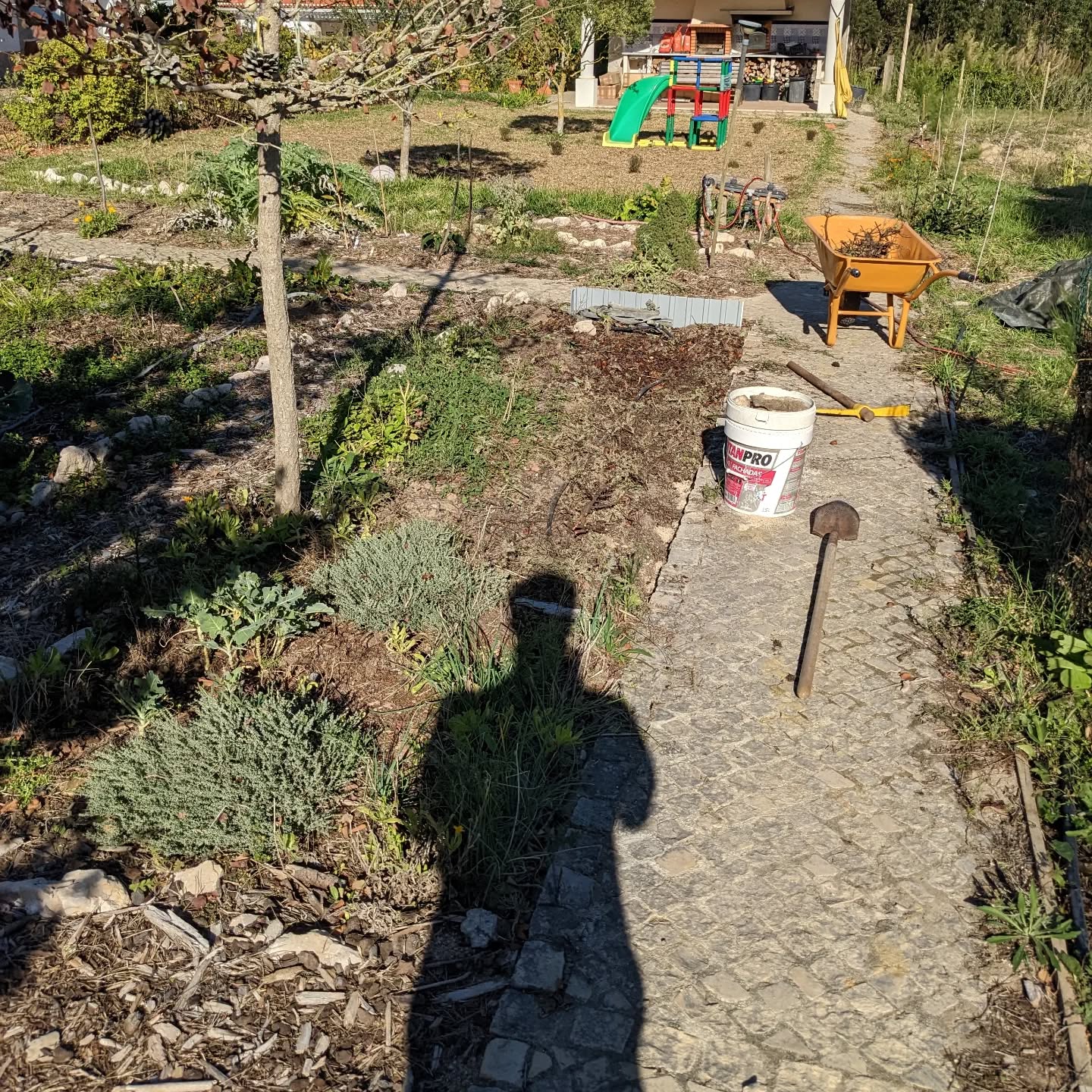 Cleaning up veggie garden beds in #zone1