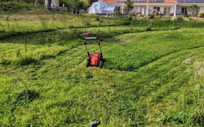 Mowing in #zone2
