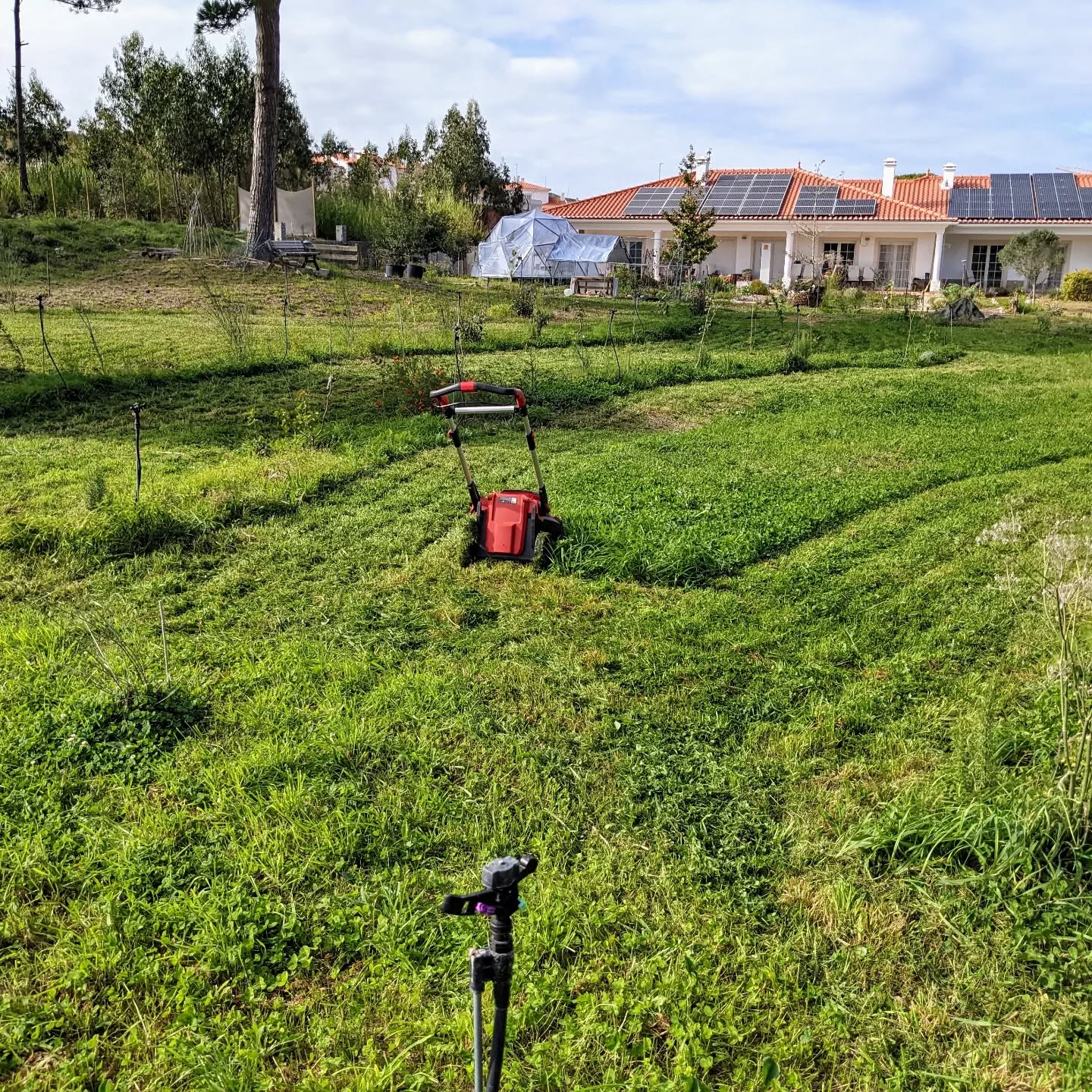 Mowing in #zone2