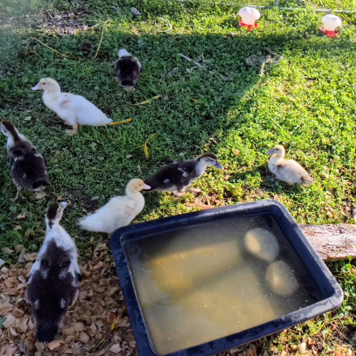 They grow so fast…!