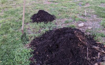 #compostturning