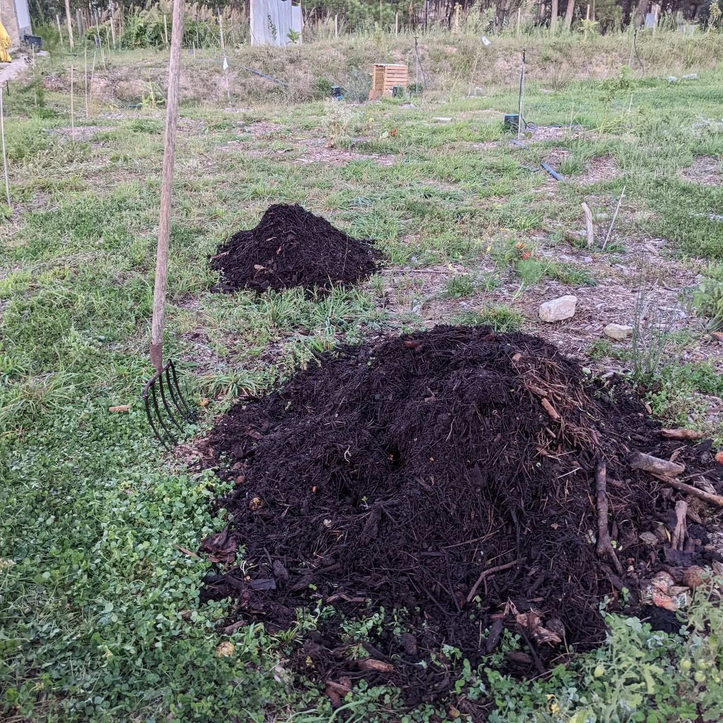 #compostturning