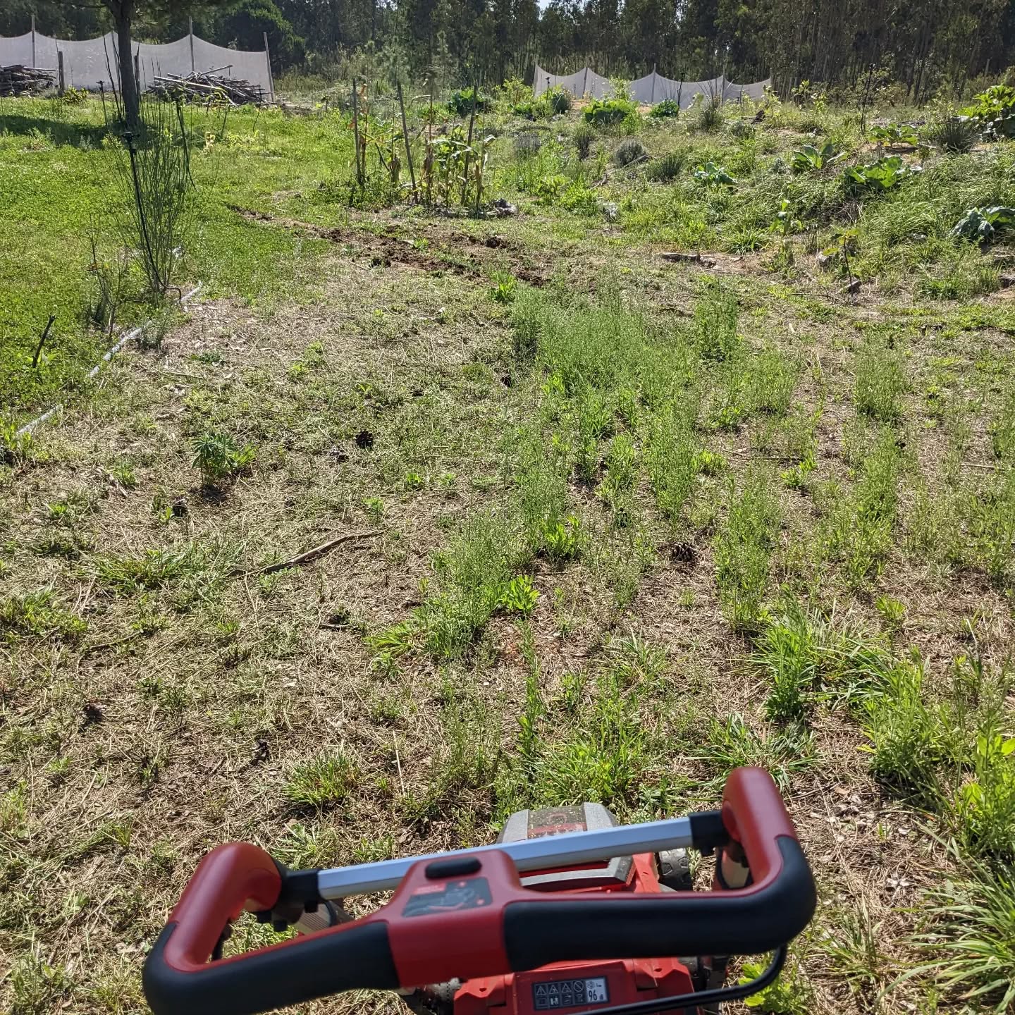 Mowing in #zone2
