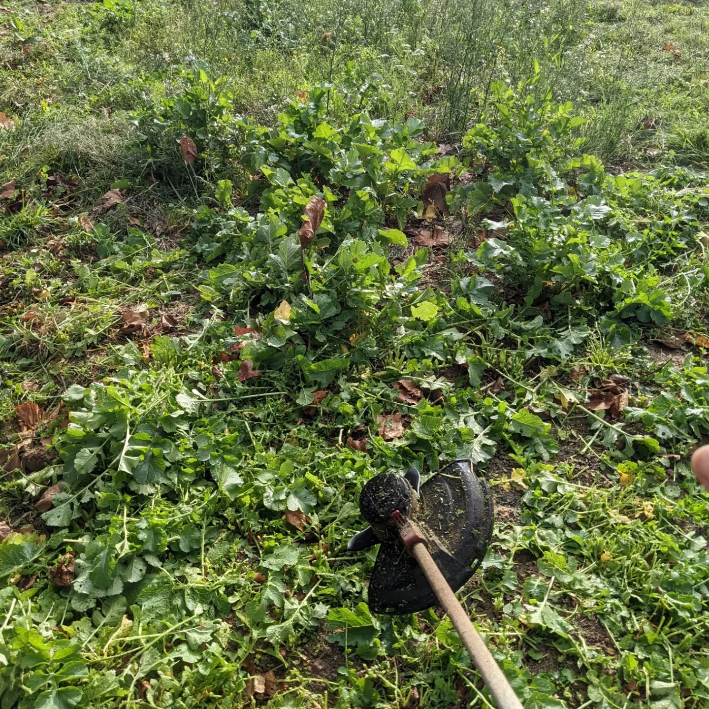 More #zone3 cleaning