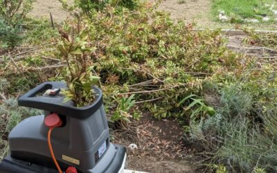 Shredding pruned plants in #zone1 and using them as mulch.