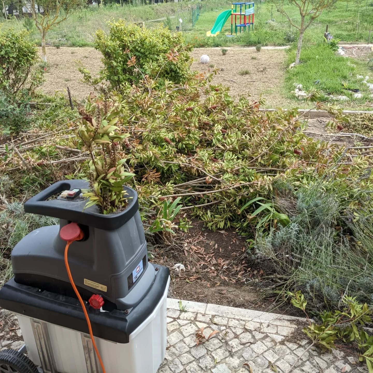 Shredding pruned plants in #zone1 and using them as mulch.
