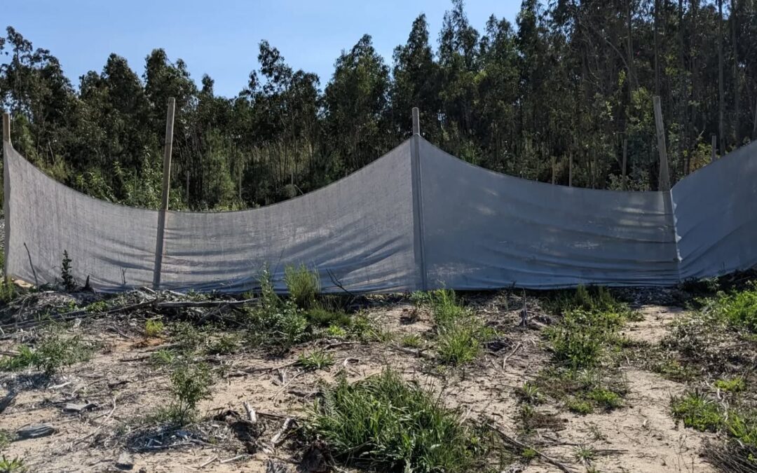 Fixing up the #windbreaks. The wind tore apart the cloth where it was stapled. The sandwich method works much better…