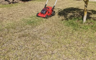 Part 1 of trying to make the existing lawn more diverse and less water hungry: mowing, dethatching, and over seeding with dwarf white clover.