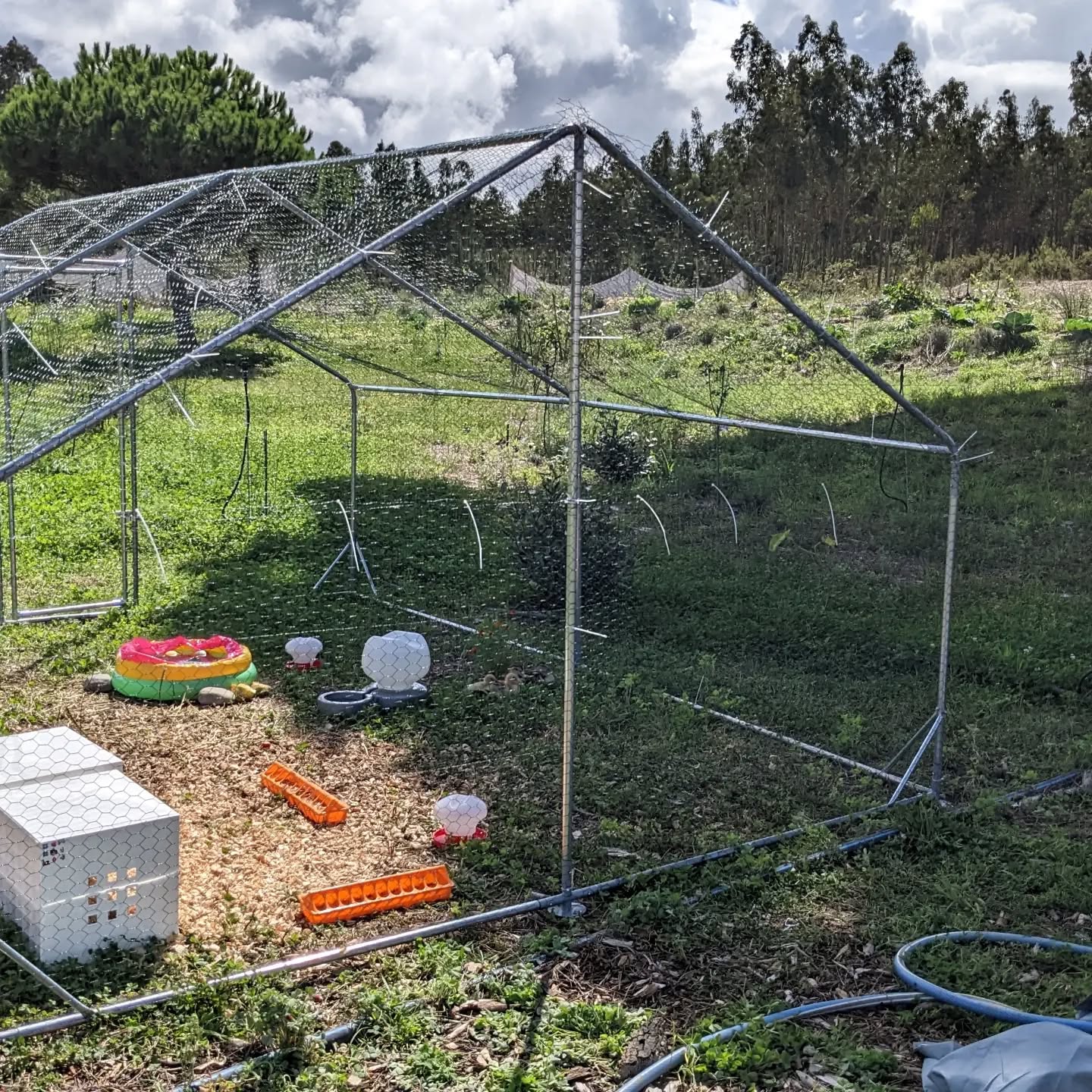 The duck house getting the missing netting installed.