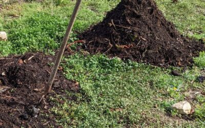 #compostturning