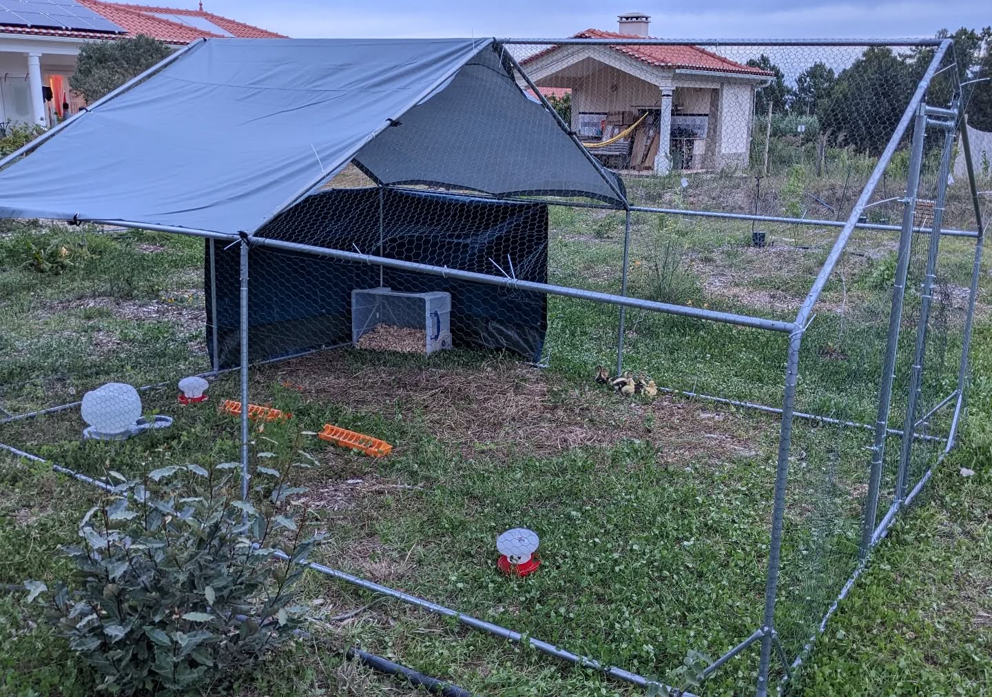 Duck house (hopefully) ready for it’s first night. There’s a storm forecast, let’s see how it goes…