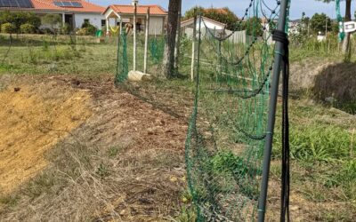 Started to set up electric fencing for poultry.