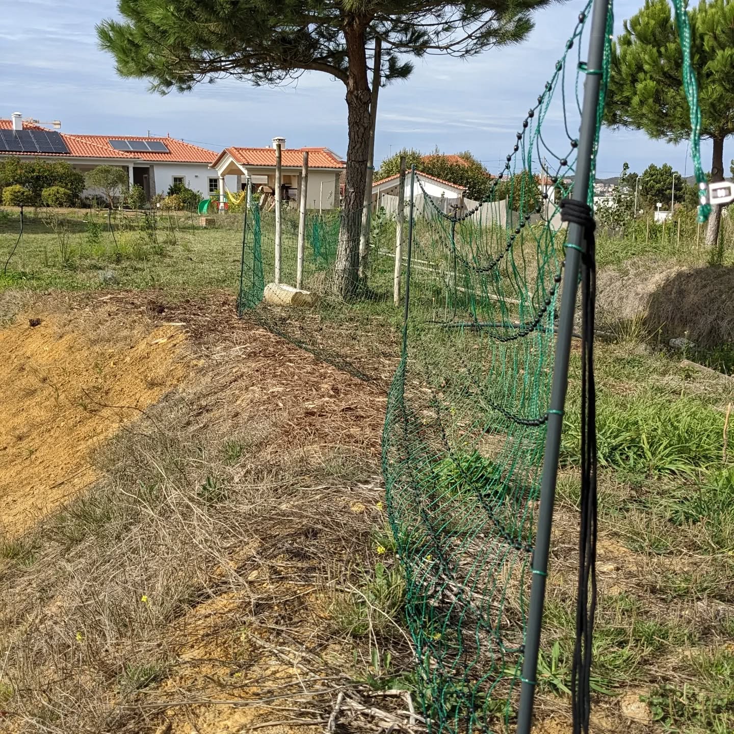 Started to set up electric fencing for poultry.